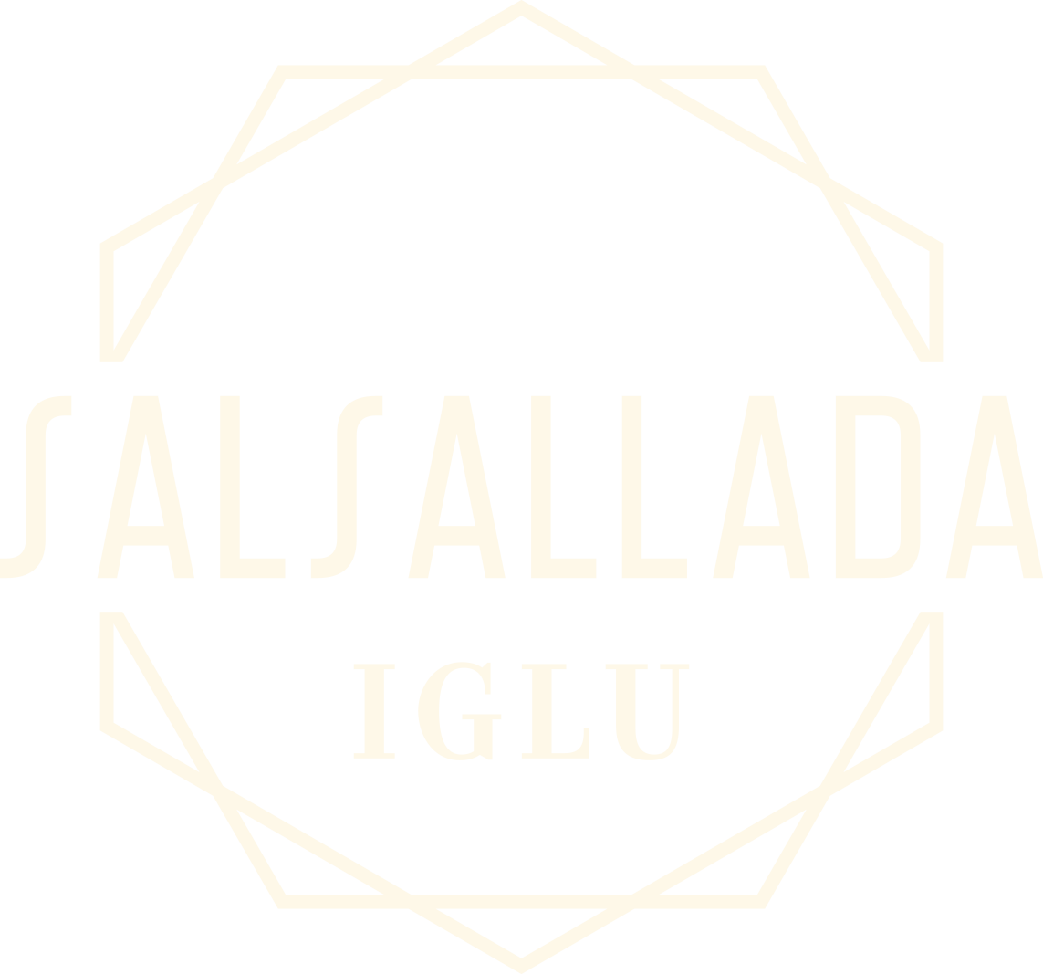 Salsallada Iglu Salsallada Iglu